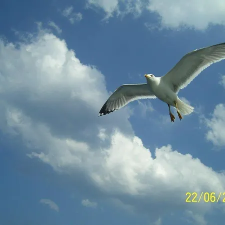 Aparthotel Lysistrata 2*