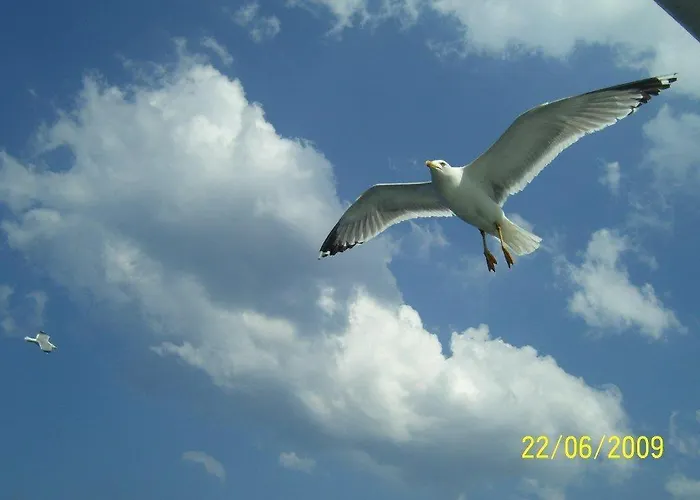 公寓式酒店 李斯斯特拉塔简易别墅旅馆 2*