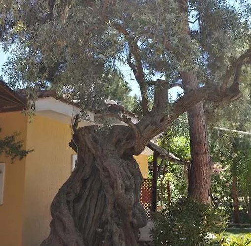 李斯斯特拉塔简易别墅旅馆 2* 波托什