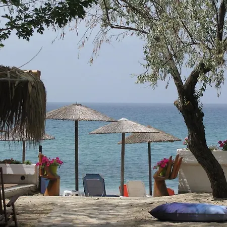 Lysistrata بوتوس