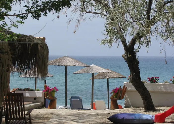 Lysistrata ポトス